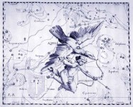Allineamenti Uomo-Sole-Cosmo 2° – 21 gennaio: Altair (Aquila)
