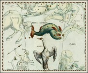 Allineamenti Uomo-Sole-Cosmo – 3° – 22 febbraio: Fomalhaut (Pesce Australe)